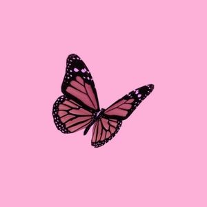 Meet your Posher, Marlene